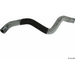 Order Radiator Coolant Hose by GENUINE OE - 30681899 For Your Vehicle