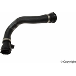 Order Radiator Coolant Hose by GENUINE OE - 4F0 121 055 F For Your Vehicle