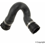 Order Radiator Coolant Hose by GENUINE OE - 4G0 122 101 For Your Vehicle