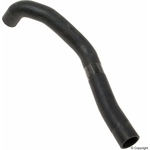 Order Radiator Coolant Hose by GENUINE OE - 7L6 121 101 For Your Vehicle