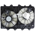 Order Radiator Cooling Fan Assembly by DEPO - 316-55016-050 For Your Vehicle