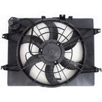 Order Radiator Fan Assembly by AGILITY - 6010083 For Your Vehicle