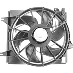 Order Radiator Fan Assembly by AGILITY - 6020102 For Your Vehicle