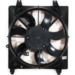 Order Radiator Fan Assembly by AGILITY - 6020118 For Your Vehicle