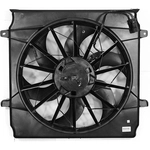 Order Radiator Fan Assembly by AGILITY - 6022109 For Your Vehicle