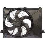 Order Radiator Fan Assembly by DORMAN (OE SOLUTIONS) - 621-235 For Your Vehicle