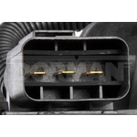 Order Radiator Fan Assembly by DORMAN (OE SOLUTIONS) - 621-559 For Your Vehicle