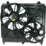 Order Radiator Fan Assembly by GLOBAL PARTS DISTRIBUTORS - 2811562 For Your Vehicle