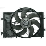 Order Radiator Fan Assembly by GLOBAL PARTS DISTRIBUTORS - 2811703 For Your Vehicle