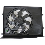 Order Radiator Fan Assembly by GLOBAL PARTS DISTRIBUTORS - 2812029 For Your Vehicle