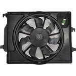 Order Radiator Fan Assembly by GLOBAL PARTS DISTRIBUTORS - 2812052 For Your Vehicle