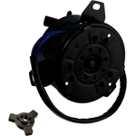 Order Radiator Fan Motor by CONTINENTAL - PM9145 For Your Vehicle