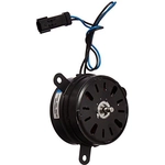 Order Radiator Fan Motor by FOUR SEASONS - 35155 For Your Vehicle