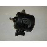 Order Radiator Fan Motor by GLOBAL PARTS DISTRIBUTORS - 2311317 For Your Vehicle