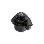 Order Radiator Fan Motor by GLOBAL PARTS DISTRIBUTORS - 2311317 For Your Vehicle