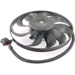 Order Radiator Fan Motor by VEMO - V150118341 For Your Vehicle