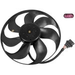 Order Radiator Fan Motor by VEMO - V150118601 For Your Vehicle