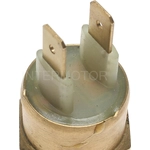 Order Radiator Fan Switch by BLUE STREAK (HYGRADE MOTOR) - TS288 For Your Vehicle