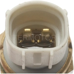 Order Radiator Fan Switch by BLUE STREAK (HYGRADE MOTOR) - TS371 For Your Vehicle