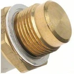 Order Radiator Fan Switch by BLUE STREAK (HYGRADE MOTOR) - TS164 For Your Vehicle