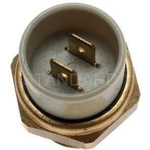 Order Radiator Fan Switch by BLUE STREAK (HYGRADE MOTOR) - TS165 For Your Vehicle