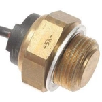 Order Radiator Fan Switch by BLUE STREAK (HYGRADE MOTOR) - TS318 For Your Vehicle