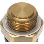 Order Radiator Fan Switch by BLUE STREAK (HYGRADE MOTOR) - TS426 For Your Vehicle