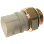 Order Radiator Fan Switch by BLUE STREAK (HYGRADE MOTOR) - TS553 For Your Vehicle