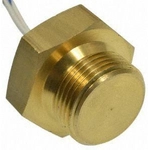 Order Radiator Fan Switch by BLUE STREAK (HYGRADE MOTOR) - TS659 For Your Vehicle