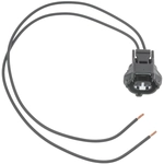 Order BLUE STREAK (HYGRADE MOTOR) - S2843 - Engine Cooling Fan Switch Connector For Your Vehicle
