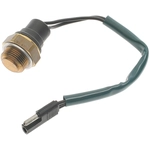 Order STANDARD - PRO SERIES - TS100 - Cooling Fan Temperature Switch For Your Vehicle