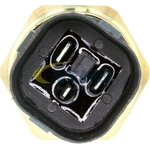 Order Radiator Fan Switch by VEMO - V159919771 For Your Vehicle