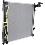 Order Radiator - HY3010173/ KI3010145 For Your Vehicle