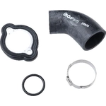 Order Radiator Or Coolant Hose by URO - 11537555281R For Your Vehicle