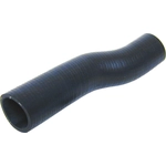 Order Radiator Or Coolant Hose by URO - XR810208 For Your Vehicle