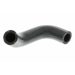Order Radiator Or Coolant Hose by VAICO - V10-9884 For Your Vehicle