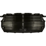 Order Radiator Shutter Assembly by BLUE STREAK (HYGRADE MOTOR) - AGS1029 For Your Vehicle