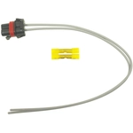 Order BLUE STREAK (HYGRADE MOTOR) - S1337 - Radio Connector For Your Vehicle