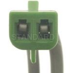 Order Radio Connector by BLUE STREAK (HYGRADE MOTOR) - S1149 For Your Vehicle