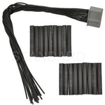Order Radio Connector by BLUE STREAK (HYGRADE MOTOR) - S2187 For Your Vehicle