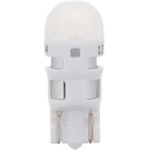 Order Radio Light by PHILIPS - 194ALED For Your Vehicle