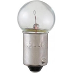 Order Radio Light by PHILIPS - 55LLB2 For Your Vehicle
