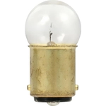 Order SYLVANIA - 68.TP - Radio Light (Pack of 10) For Your Vehicle