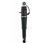 Order Rear Air Adjustable Shock by UNITY AUTOMOTIVE - 14511200 For Your Vehicle