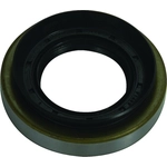 Order Rear Axle Seal by WJB - WS710419 For Your Vehicle