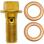 Order RAYBESTOS - H5390 - Rear Brake Hydraulic Hose Banjo Bolt For Your Vehicle