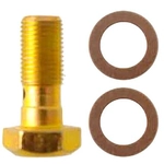 Order RAYBESTOS - H9504 - Brake Hydraulic Banjo Bolt For Your Vehicle