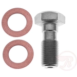Order Rear Banjo Bolt by RAYBESTOS - H5386 For Your Vehicle