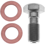 Order Rear Banjo Bolt by RAYBESTOS - H5386 For Your Vehicle