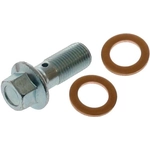 Order RAYBESTOS - H9502 - Rear Banjo Bolt For Your Vehicle